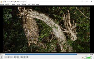 How to Rotate a Video in Windows 10