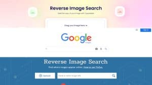 Reverse image search