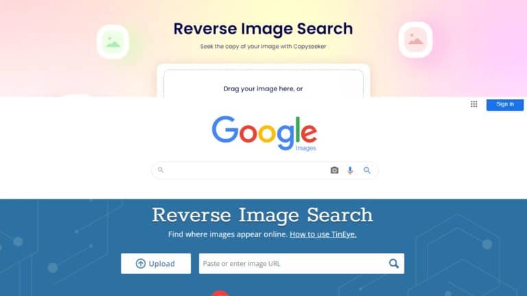 Reverse image search