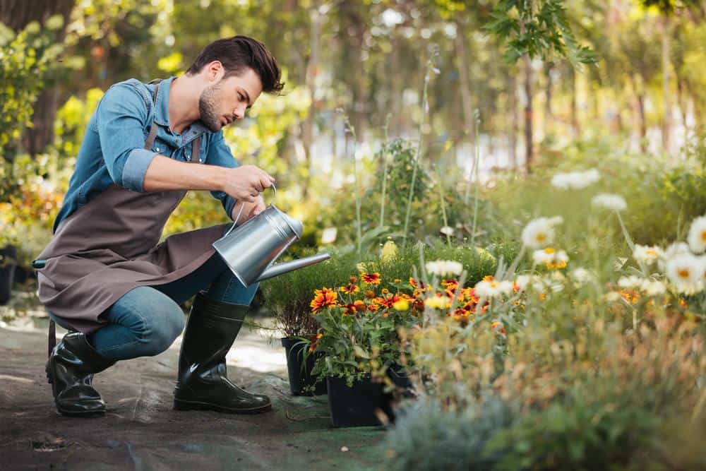 Finds The Right Time To Water Your Plants For Maximum Results