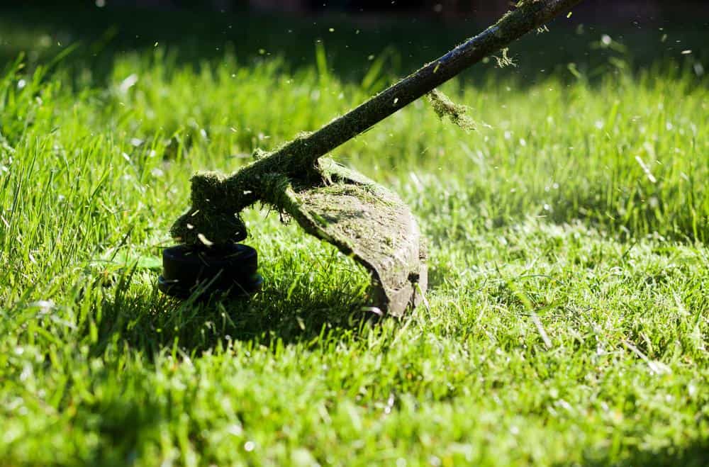 Choosing The Best Lawn Care Services To Keep Your Yard Looking Great