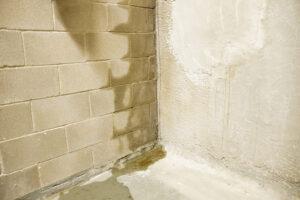 Defeating Dampness A Comprehensive Guide To Effective Basement Moisture Management
