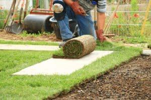 Precision In Greenery: A Guide To Efficient Lawn Planning With A Sod Calculator
